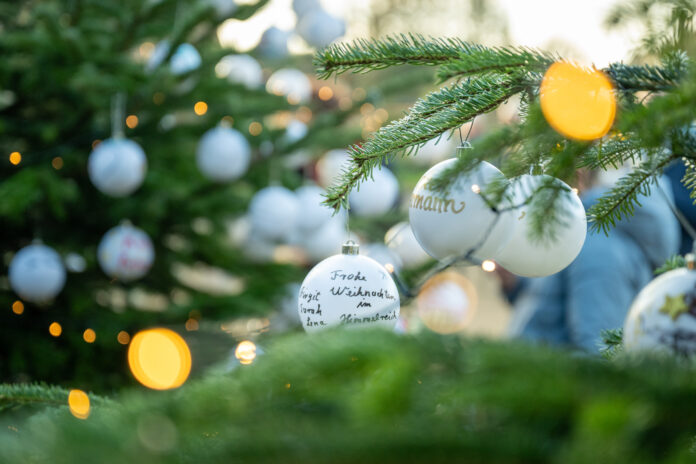 Weihnachtsbaum-Aktion auf Bocholter Friedhof am 13. Dezember